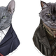 Illustration for article titled Doctor Mew returns, with War Cat and Capaldi Cat